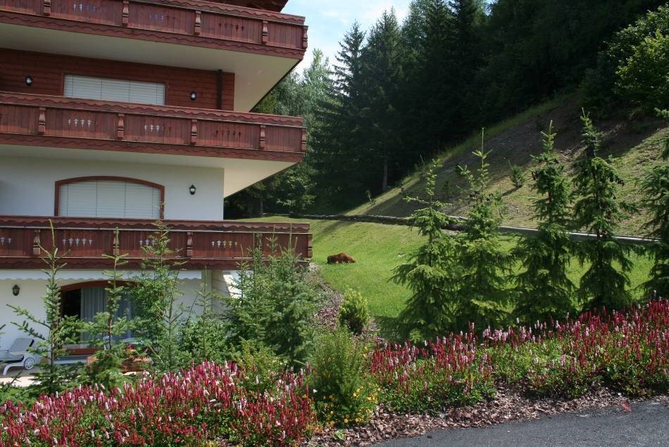 Appartement-Crans-Montana2